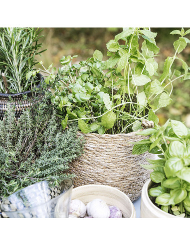 Panier Hang Nature - House Doctor