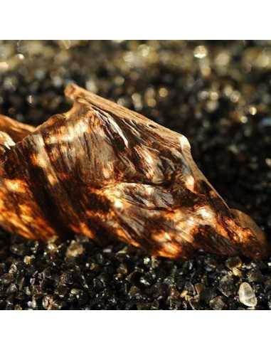 Bougie AGAR Bois de Oud- Apotheca