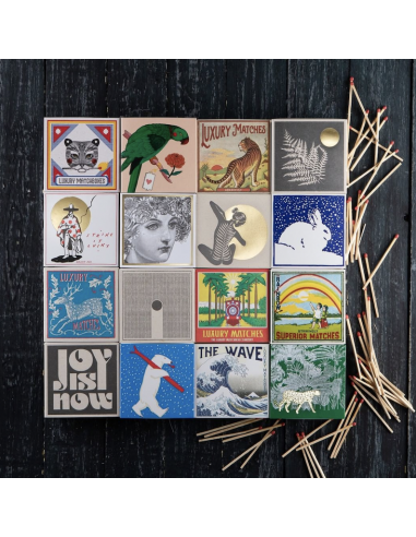 Allumettes Rain - The Archivist