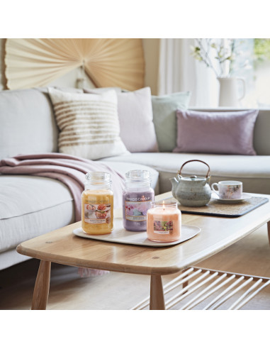 Glace à la mangue - Fondant