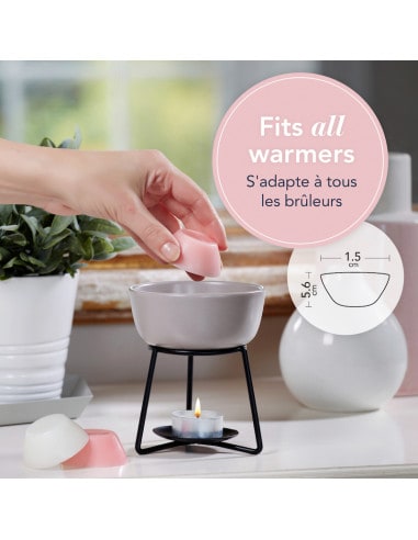 Fresh Cut Roses - Fondant