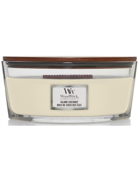 Bougie Noix de coco des îles - Ellipse