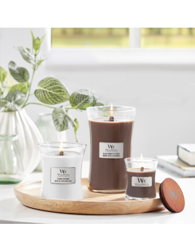 Bougie Noix de coco des îles - Ellipse