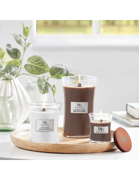 Bougie Noix de coco des îles - Ellipse