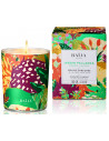 Bougie Jardin Pallanca - Baija