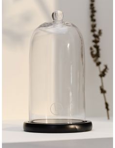 Cloche en verre 20 cm avec bouton et support 2