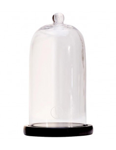 Cloche en verre 20 cm avec bouton et support