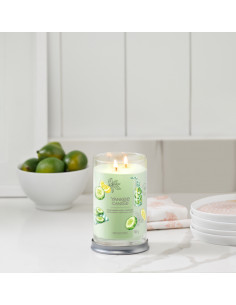 Concombre et menthe à l'eau - Grande colonne 2