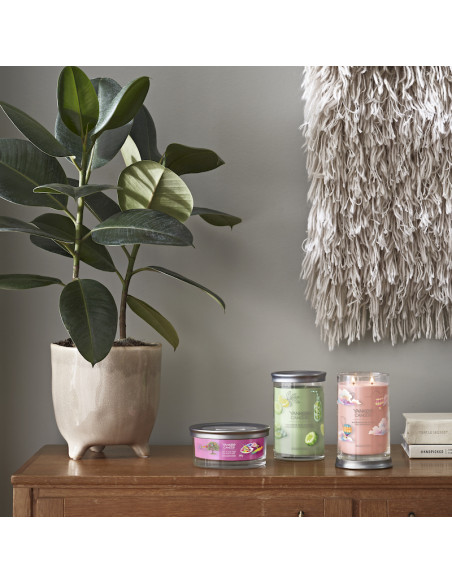 Concombre et menthe à l'eau - Grande colonne