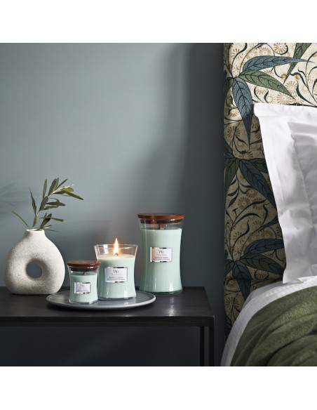 Bois de sauge et posidonie - 275 gr