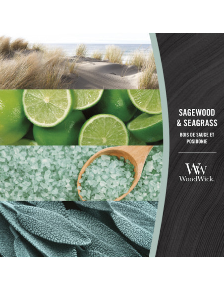 Bois de sauge et posidonie - 85 gr