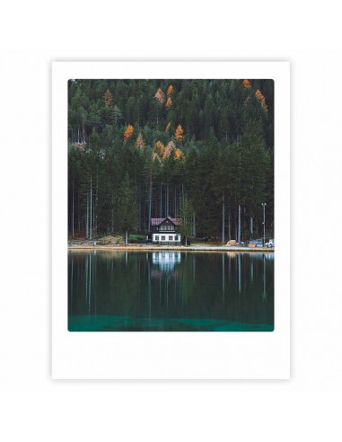Affiche 30x40 House in the forest -...