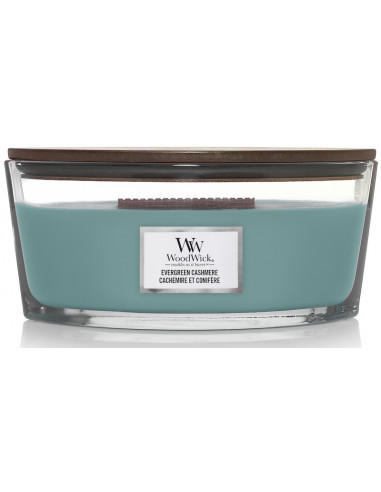 Bougie Cachemire et conifère - Ellipse