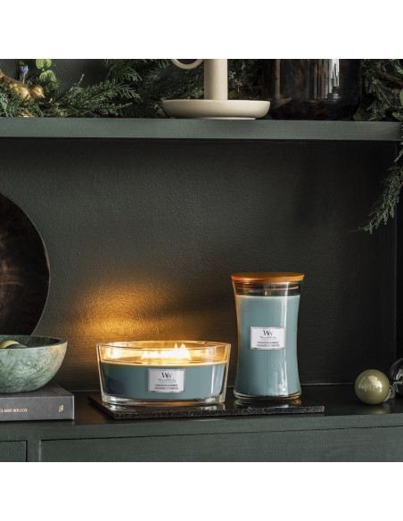 Bougie Cachemire et conifère - Ellipse