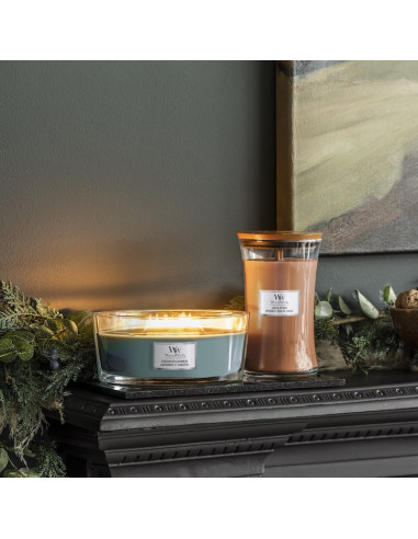 Bougie Cachemire et conifère - Ellipse