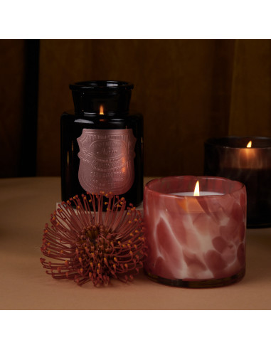 Saffron Rose - Apothecary Black Candle Paddywax