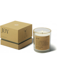 Bougie JOY Misted Lime - Mood Candle Paddywax