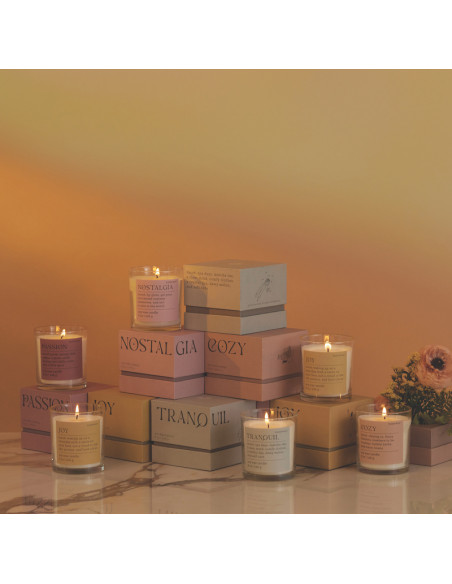 Bougie NOSTALGIA Pepper & Plum - Mood Candle Paddywax