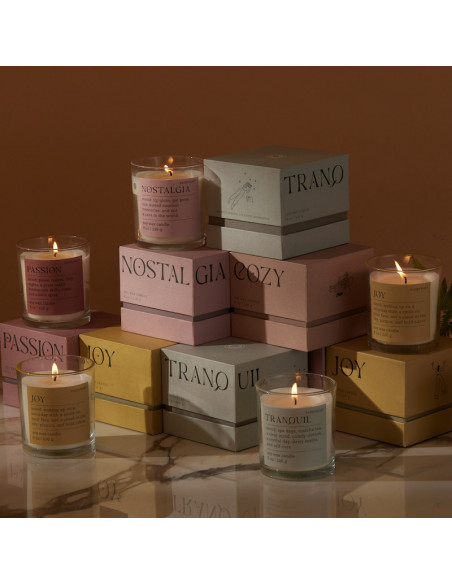 Bougie NOSTALGIA Pepper & Plum - Mood Candle Paddywax