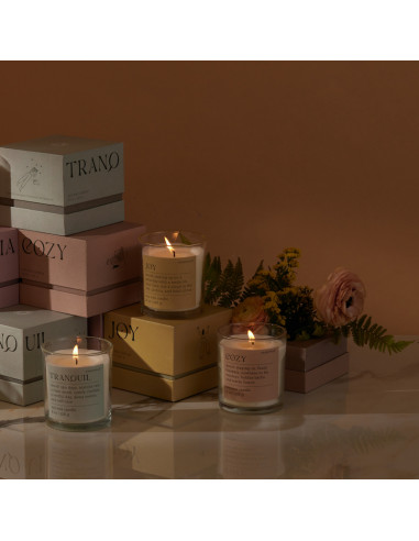 Bougie TRANQUIL Lush Palms - Mood Candle Paddywax