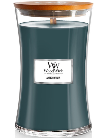 Bougie Antiquarium - 610 gr