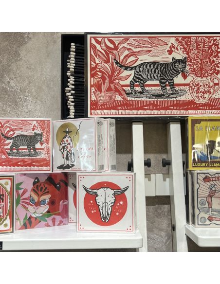 Allumettes Sasha Giant - The Archivist