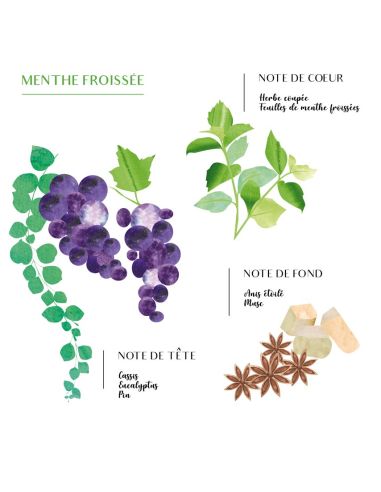 Bougie Menthe et Thé raphia Layla M