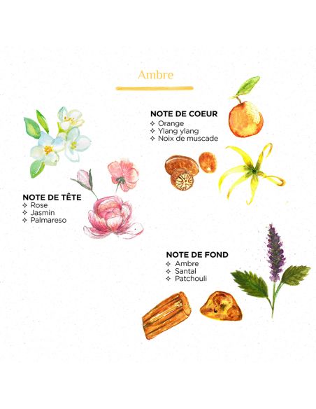 Ambre - Recharge parfumée diffuseur Capilla Spray