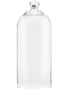 Grande cloche en verre avec bouton