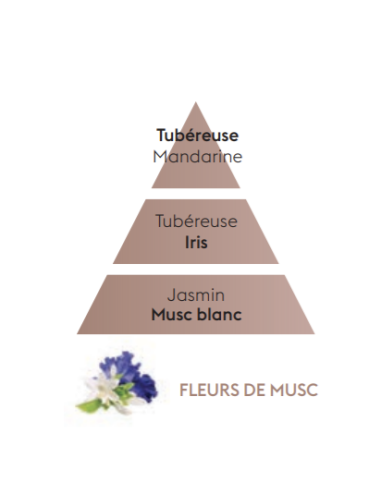 Recharge diffuseur voiture - Fleur de Musc