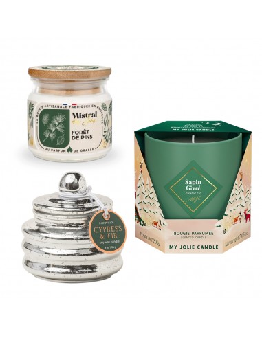 Pack Parfum de forêt
