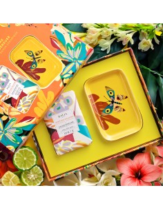 Coffret Savon solide -... 2