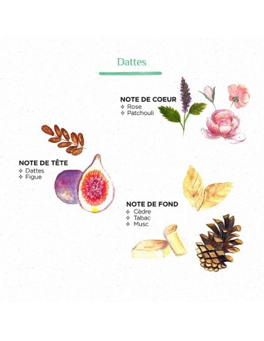 Bougie raphia Radia M - Dattes