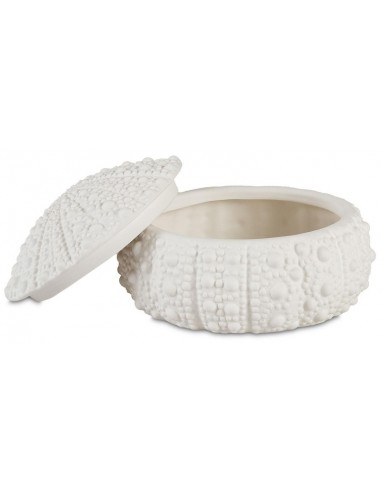 Petite boite coquillage Oursin - Andrea House