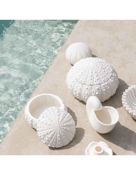Grande boite coquillage Oursin - Andrea House