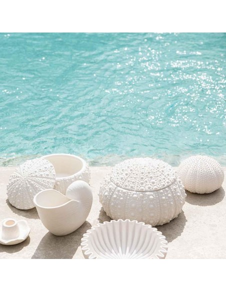 Grande boite coquillage Oursin - Andrea House