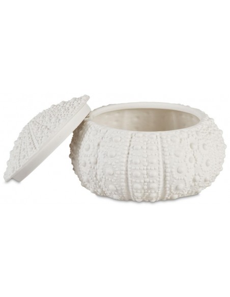 Grande boite coquillage Oursin - Andrea House