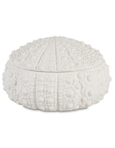 Grande boite coquillage Oursin - Andrea House