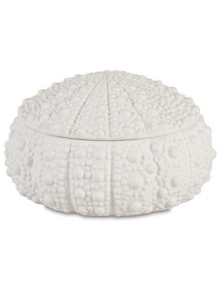 Grande boite coquillage Oursin - Andrea House