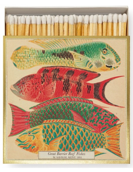 Allumettes Natural History Museum Fish - The Archivist