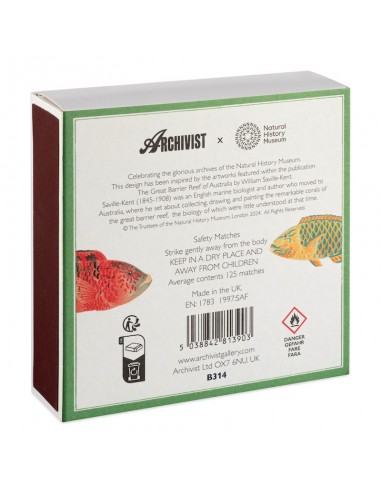 Allumettes Natural History Museum Fish - The Archivist