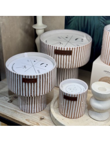 Bougie Coupe Fruit Terra M - Citronnelle