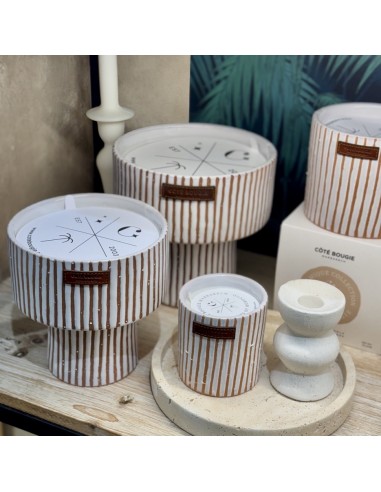 Bougie Coupe Fruit Terra M - Citronnelle