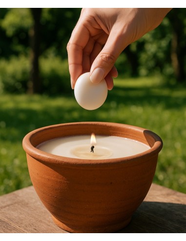 Galets à la citronnelle x6 - Evidence... Galets à la citronnelle x6 - Evidence...