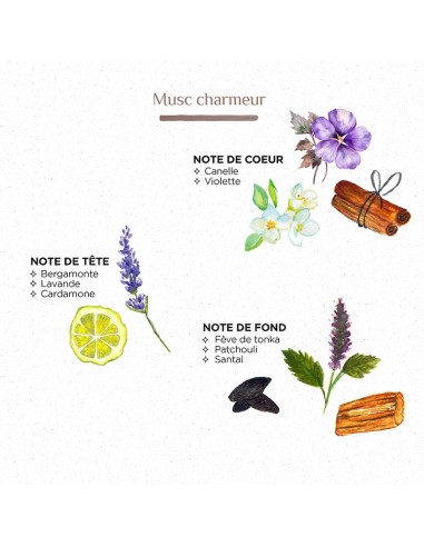 Bougie Zerbia L - Musc charmeur