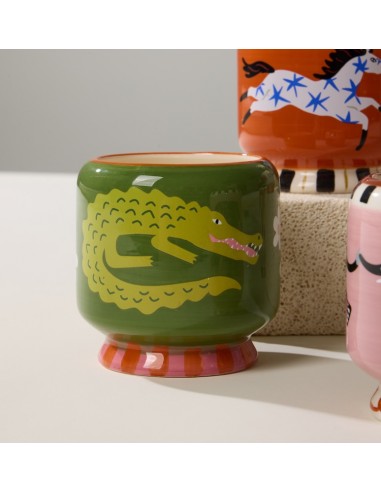 Bougie Adopo - Crocodile - Prickly Pear