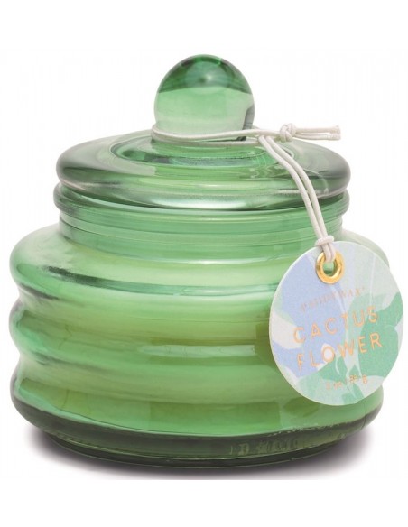 Bougie Beam Paddywax - Fleur de cactus