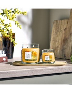 Carambole ensoleillée - Petite Jarre 2