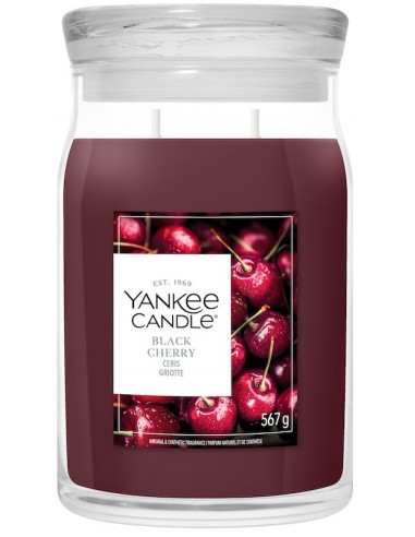 Cerise griotte - Grande bougie 2 mèches