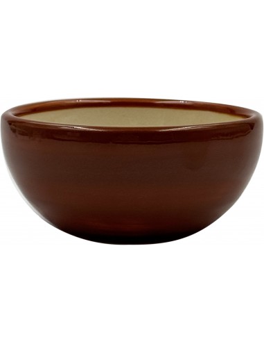 Bol Teckel - Dog life